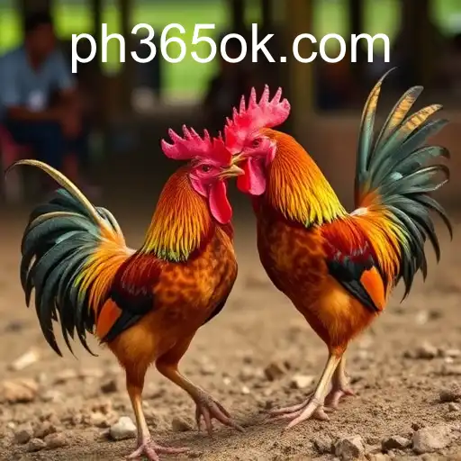 Exploring the World of Online Sabong: A Deep Dive into PH365.COM